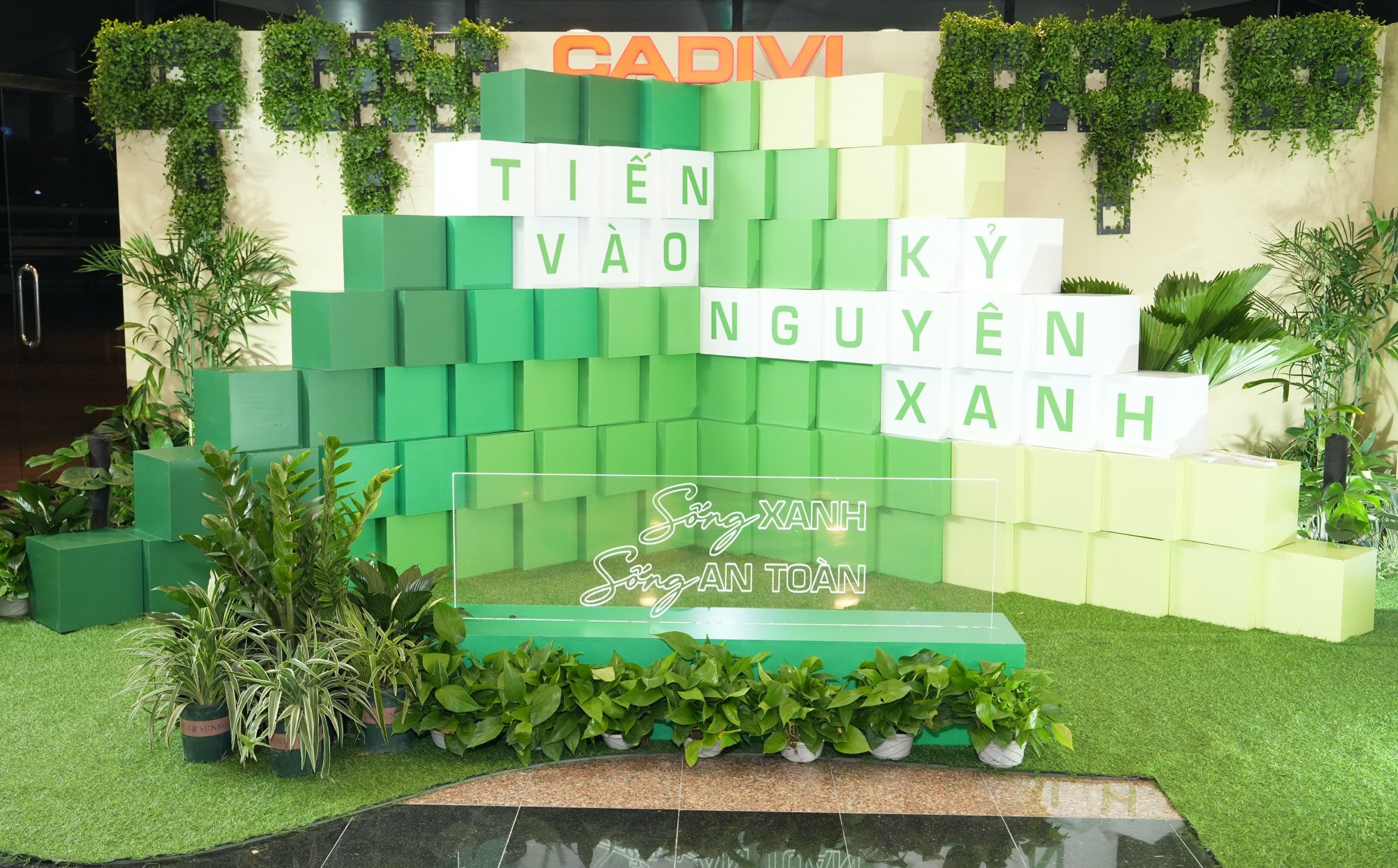 HTT09142.jpg