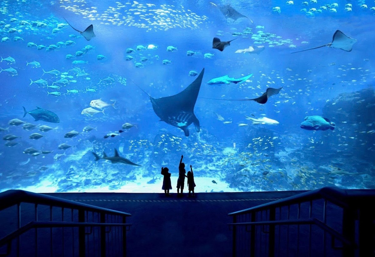 thumbnail-7-singapore-oceanarium20250617154516.jpg?rt=20250617154821