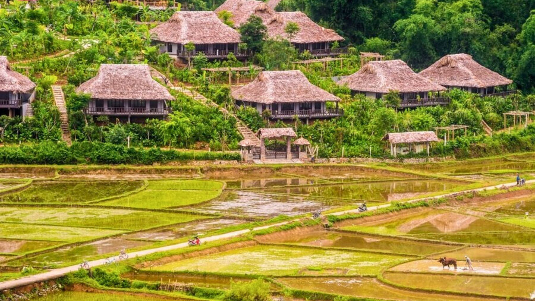 mai-chau-17726116970772076565070.jpg