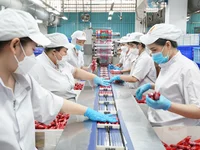 VISSAN chi hơn 530 tỷ đồng dự trữ hàng Tết Nguyên đán Bính Ngọ 2026, tung loạt sản phẩm mới toanh