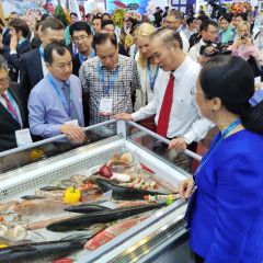 vietfish-202420240821155647.jpg?rt=20240821155739