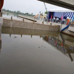 img-9490-2178-509.jpg.webp
