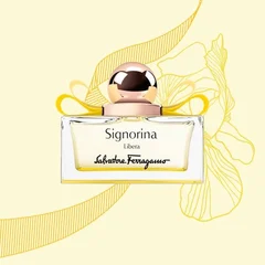 gioi_han_huong_nu_tinh_tu_ferragamo_2_ec14bd481eec45ca8e89b1363bae674e_grande.jpg