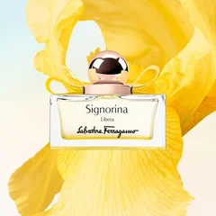 gioi_han_huong_nu_tinh_tu_ferragamo_3_651f25117c5240278297eeed262480c6_grande.jpg