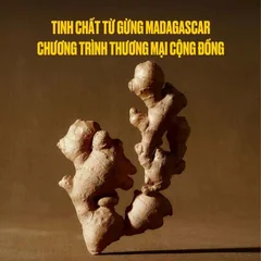 Phu_nu_hien_dai_tinh_dau_ginger_gung_madagascar_04.jpg