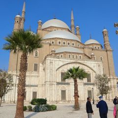 U36050_Khu-Ho-i-gia-o-Cairo_1722241990.jpeg