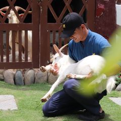 img7583-17200856655451725453917.jpeg