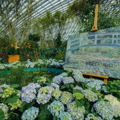 Impressions-of-Monet-7.jpg