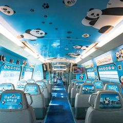 01-Colourful-panda-displays-on-train-carriages_01-1536x1025.jpg