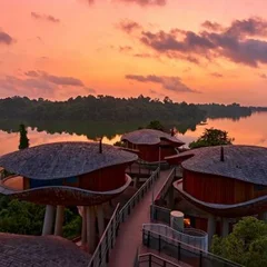 mandai-rainforest-rsort_600x338.jpg