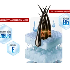 876ced_120e139edd034bd4abf94912ddd6ac35~mv2.png