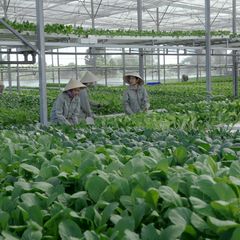 canh-phim-520251109095847.jpg?rt=20251109100043