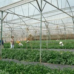 canh-phim-720251109095856.jpg?rt=20251109100103