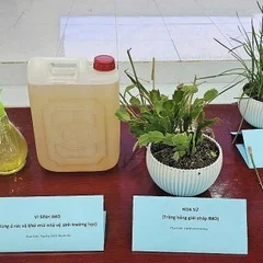 203f8874c475b1eefd148a92dc09765620251228215512.jpg?rt=20251228215512