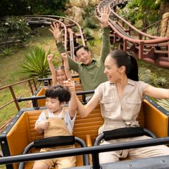 CXRHT_VinWonders-%E2%80%93-Family.jpg