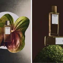 kodfa-4-Copy.jpg