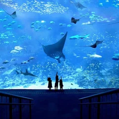 thumbnail-7-singapore-oceanarium20250617154516.jpg?rt=20250617154821