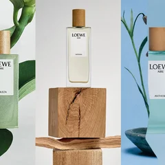 loewe-18-6-2.png