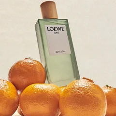 20250630_BQTBPTqR.png