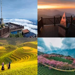 sapa-17676894278481208478035.png