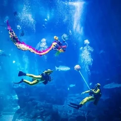 5-waves-of-harmony-oceanarium_600x450.jpg