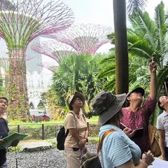 7yy_600x337.jpg