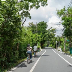 Credits_-Booking.com-%C2%A9Blink-_-Bangkok-_-Sustainability-report-2026.jpeg