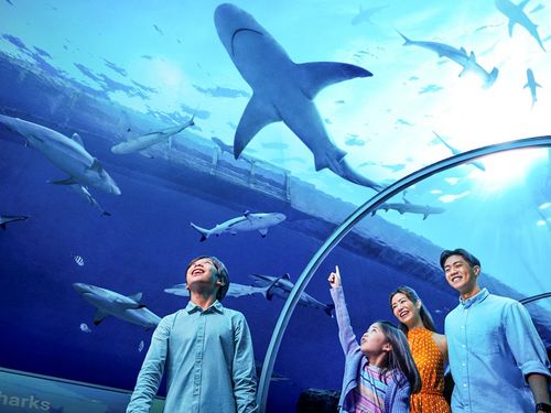 4 chọn lựa cho gia đình có con nhỏ du lịch Singapore mùa hè 2024