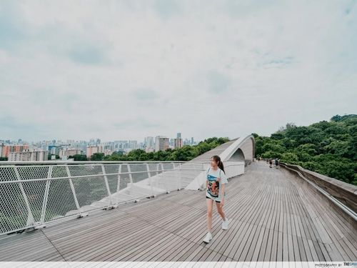 Vòng quanh Singapore như dân bản địa, khám phá thành phố bằng nhịp sống MRT