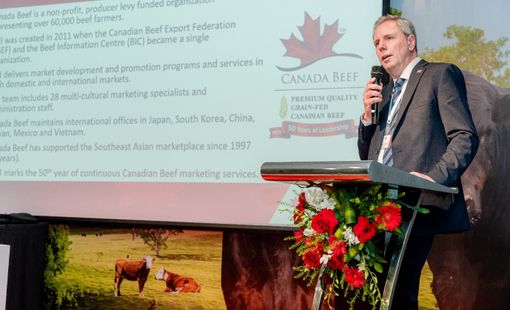 Thịt bò Canada tại Việt Nam, khám phá sự khác biệt, chất lượng và tiềm năng