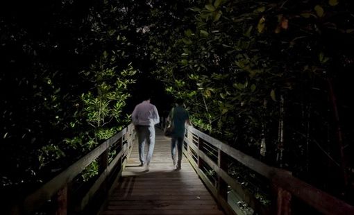 Halloween 2023 hãy khám phá kỳ án ám ảnh tại Singapore cùng những câu chuyện kinh dị địa phương