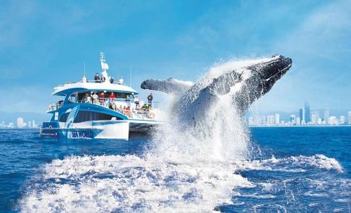 Những điểm đến không thể bỏ lỡ cho chuyến du lịch đa thế hệ để tận hưởng kỳ nghỉ bên gia đình