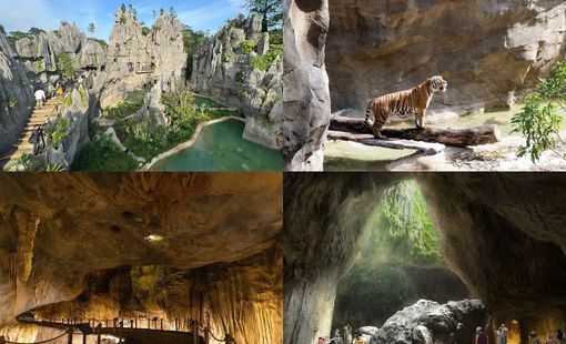 Singapore vào hè với trải nghiệm sống động, Rainforest Wild Asia chính thức mở cửa tại Khu Bảo tồn Động vật Hoang dã Mandai