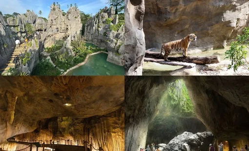 Singapore vào hè với trải nghiệm sống động, Rainforest Wild Asia chính thức mở cửa tại Khu Bảo tồn Động vật Hoang dã Mandai