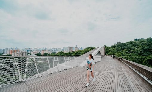 Vòng quanh Singapore như dân bản địa, khám phá thành phố bằng nhịp sống MRT