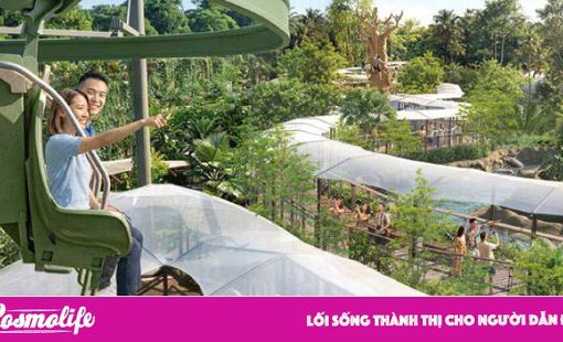 Cẩm nang Singapore tháng 5/2026: Khám phá Mandai, SIFA; theo dấu Laufey, Minecraft và lễ hội nghệ thuật phủ kín đảo quốc
