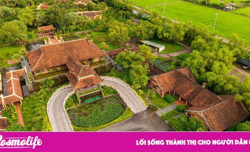 Mùa vàng Tam Cốc và làn sóng MICE tái định hình sức hút nghỉ dưỡng Ninh Bình
