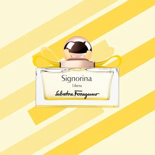gioi_han_huong_nu_tinh_tu_ferragamo_1_c3b792a8b65045a4a5e903431f6f3616_grande.jpg