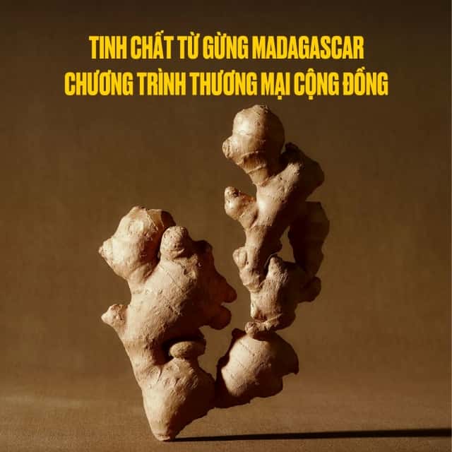Phu_nu_hien_dai_tinh_dau_ginger_gung_madagascar_04.jpg