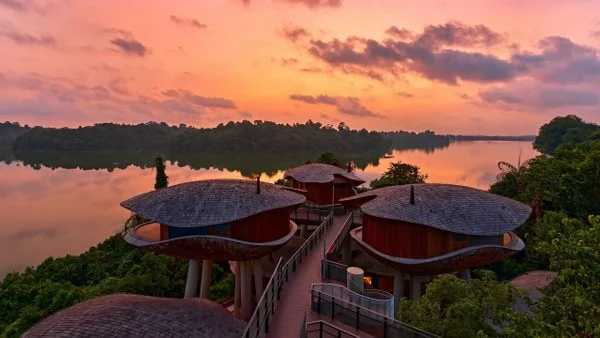 mandai-rainforest-rsort_600x338.jpg