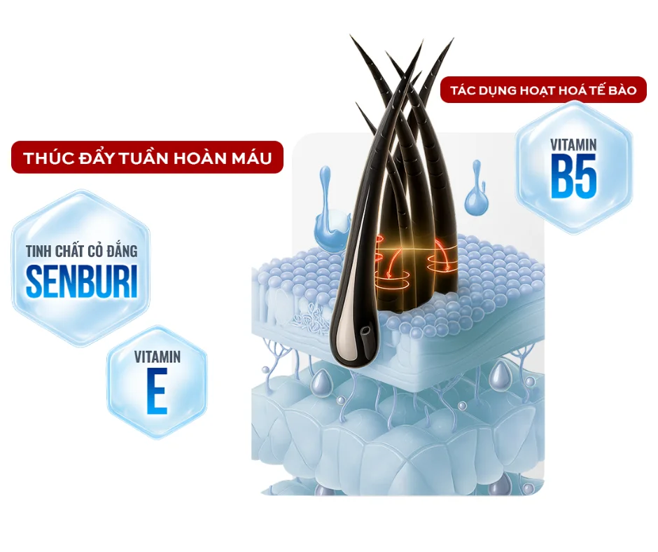 876ced_120e139edd034bd4abf94912ddd6ac35~mv2.png