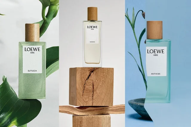loewe-18-6-2.png