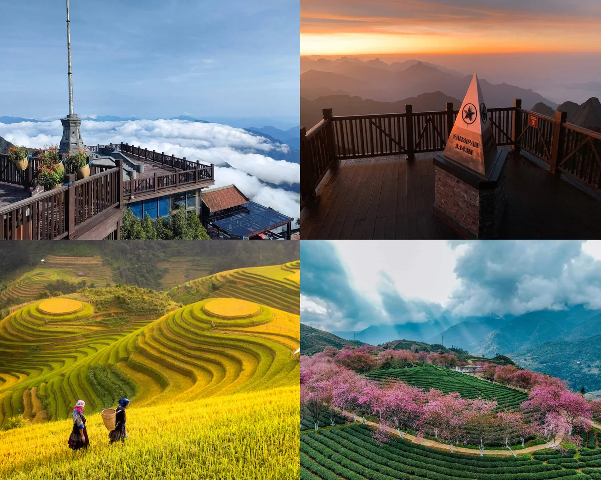 sapa-17676894278481208478035.png