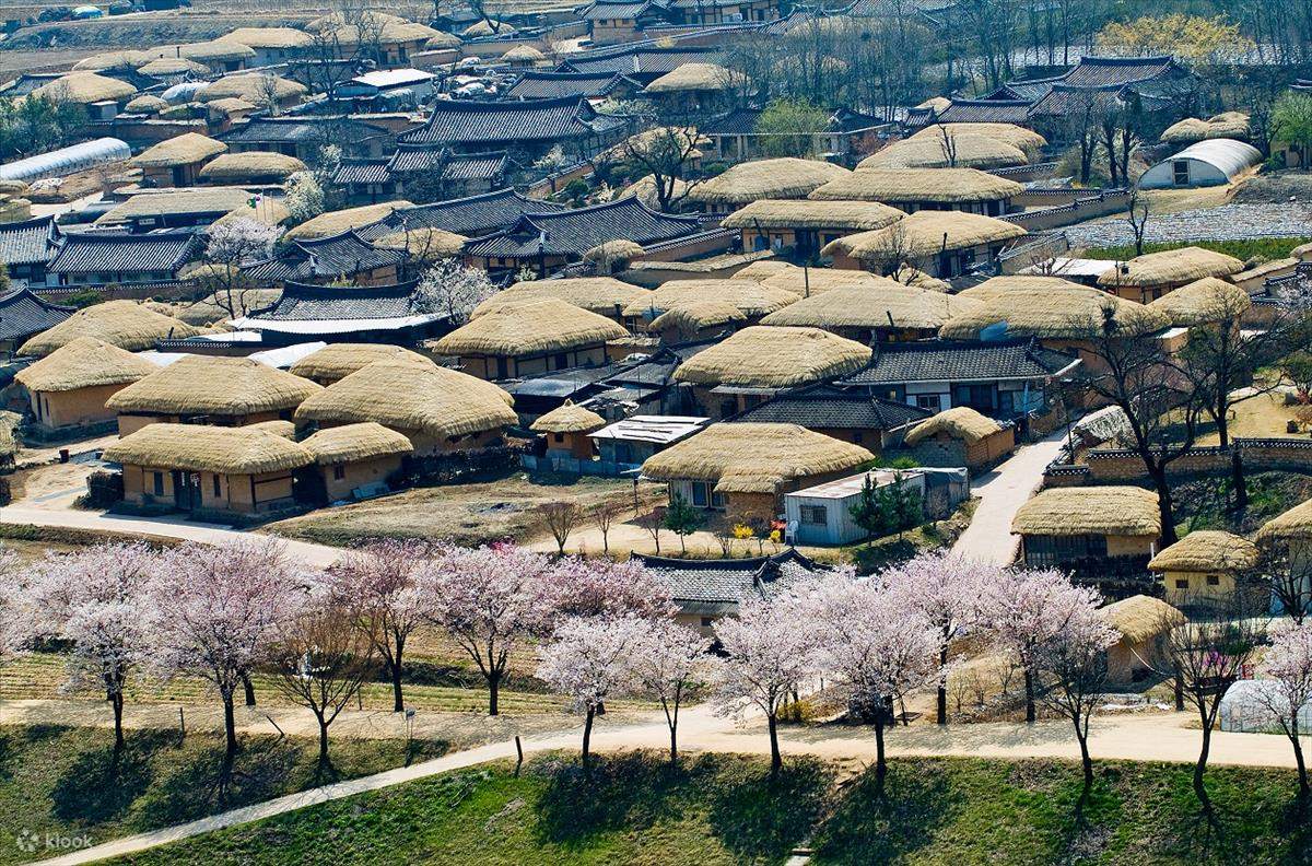 Làng cổ Hahoe bảo tồn hơn 100 ngôi nhà hanok cùng cấu trúc làng dòng tộc truyền thống, nơi hậu duệ Pungsan Ryu vẫn tiếp tục sinh sống giữa di sản Joseon.