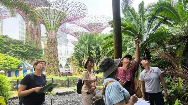 7yy_600x337.jpg
