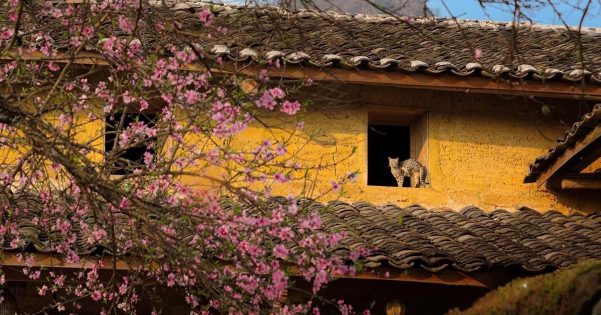 Làng Lô Lô Chải, xã Lũng Cú, tỉnh Tuyên Quang tiêu biểu cho sự thành công của mô hình du lịch cộng đồng.