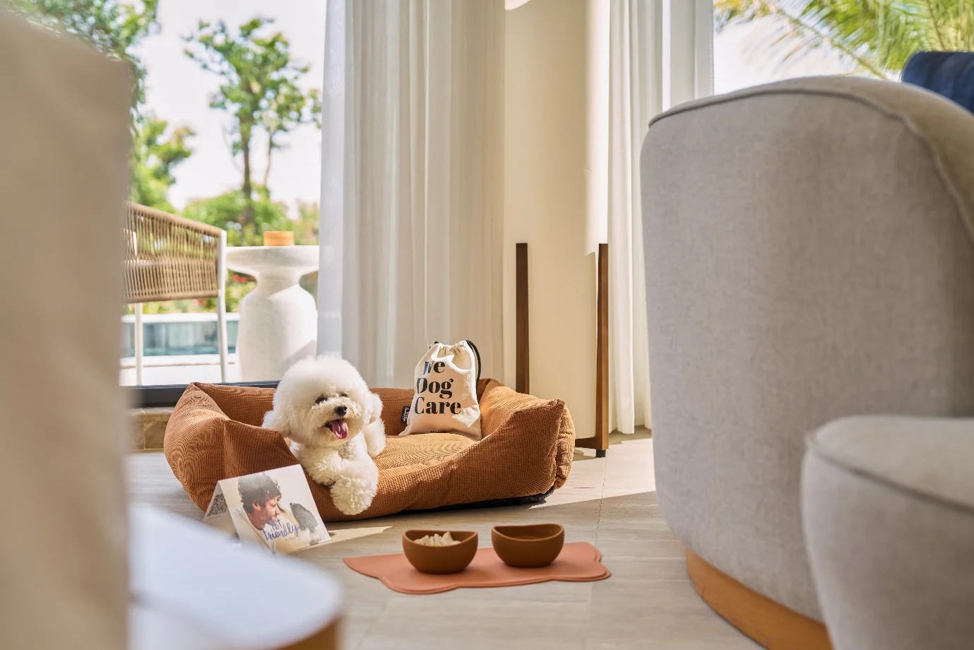 Chó cưng nằm trên đệm cùng bộ tiện ích chăm sóc trong phòng nghỉ